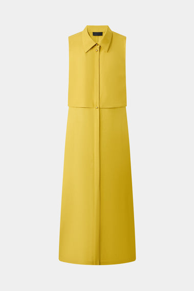 GOLDEN GLOW BUTTON DRESS