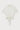 CREAM COTTON SILK KNOT DETAIL T-SHIRT