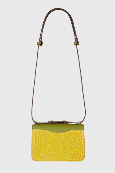 THE ANIKA BAG IN GREEN AND YELLOW